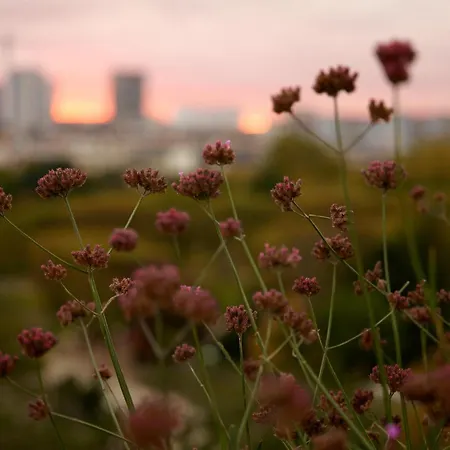 Highstay - Luxury Serviced - Eiffel Paris