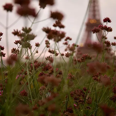 Highstay - Luxury Serviced - Eiffel * Paris